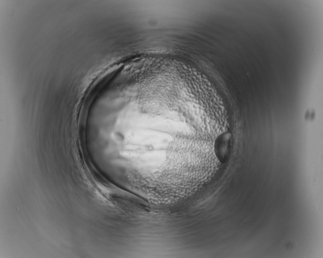 X0000114200721200910231342