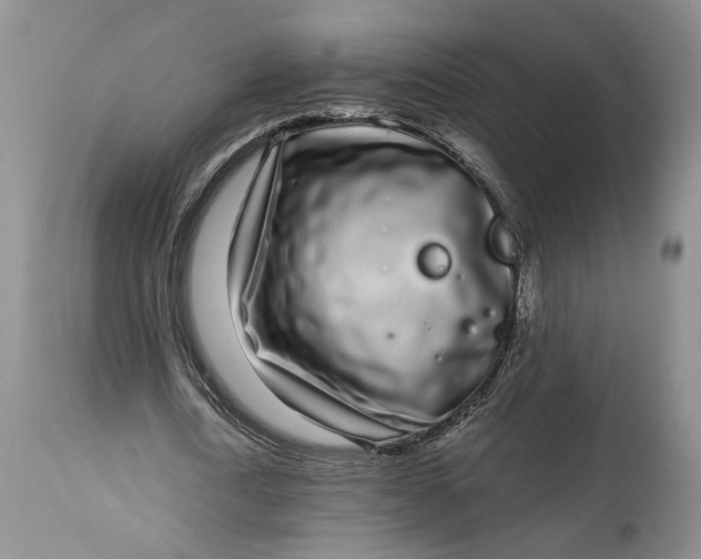 X0000114200722200910231342