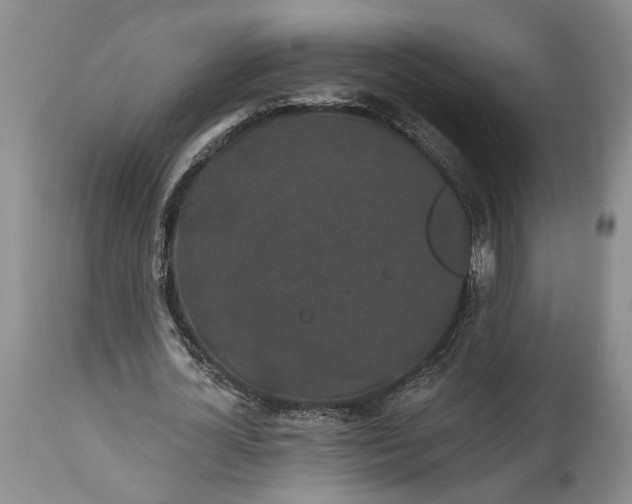 X0000114200724200910231342