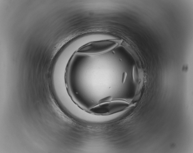 X0000114200725200910231342