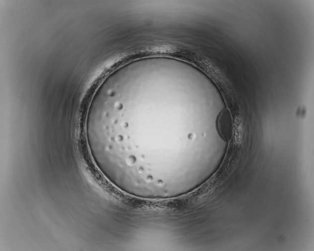 X0000114200726200910231342