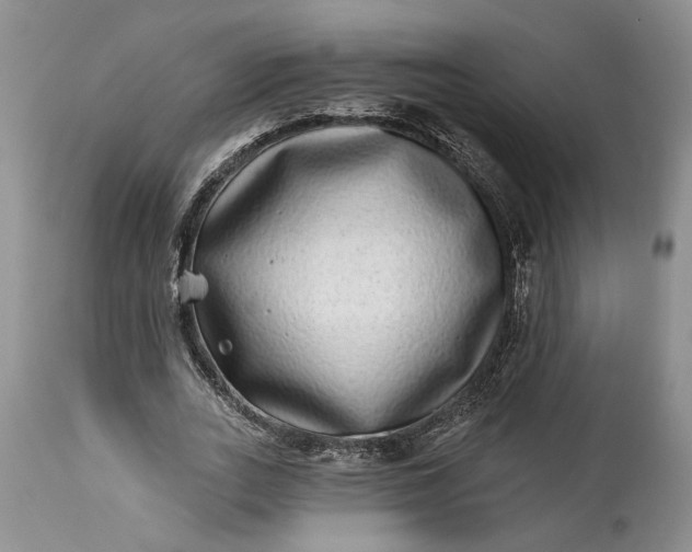 X0000114200727200910231343