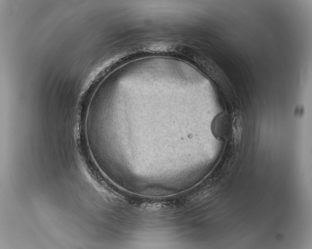 X0000114200728200910231343