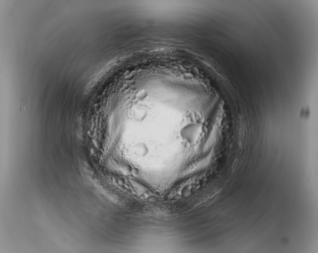 X0000114200729200910231343