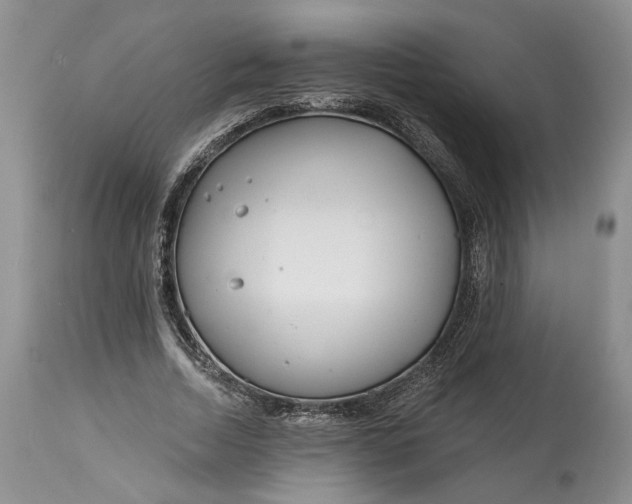 X0000114200730200910231343