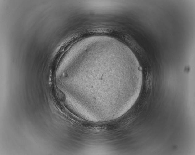 X0000114200731200910231343