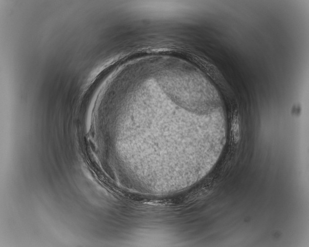 X0000114200732200910231343