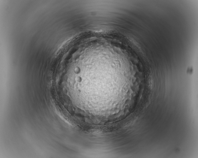 X0000114200733200910231343