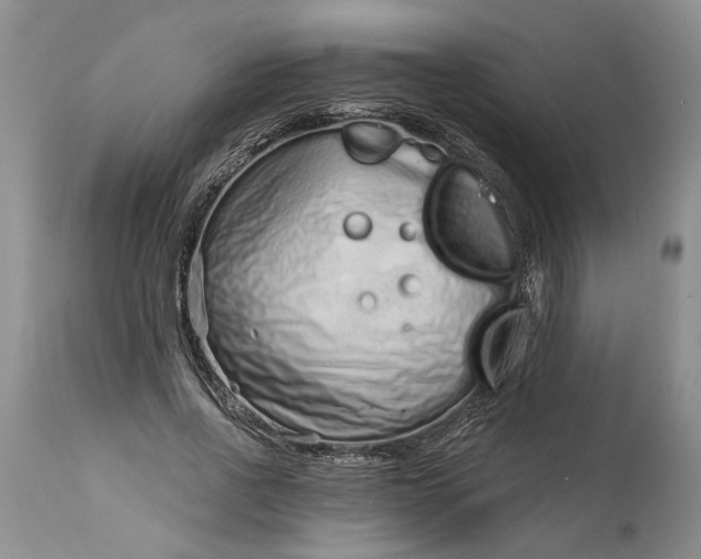 X0000114200734200910231343