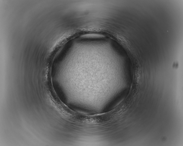 X0000114200735200910231343