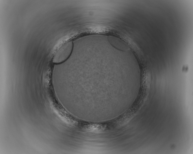 X0000114200736200910231343