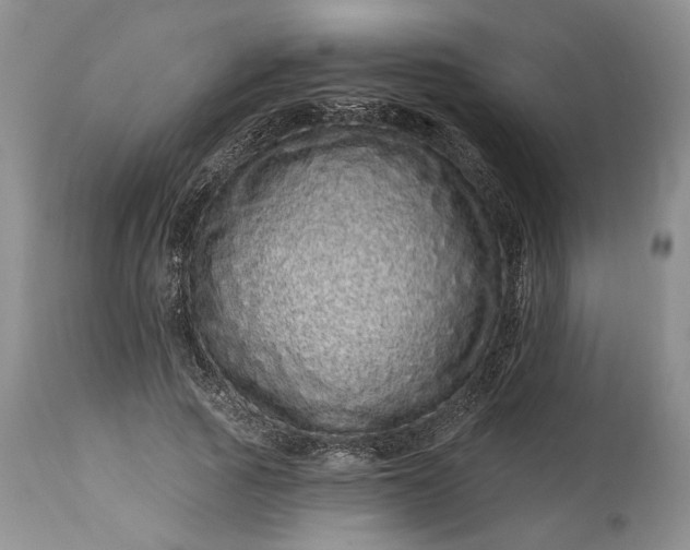 X0000114200737200910231343