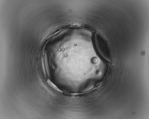 X0000114200738200910231343