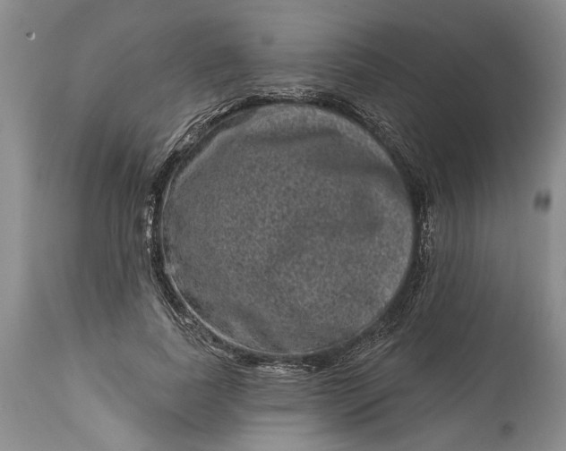 X0000114200739200910231343