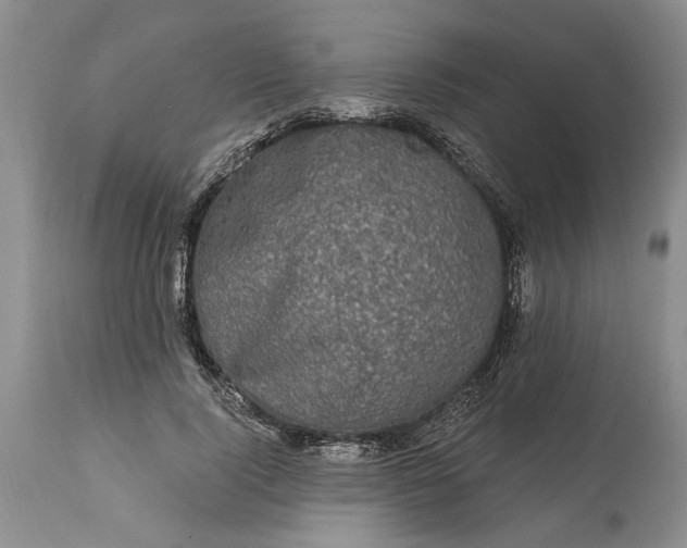 X0000114200740200910231343