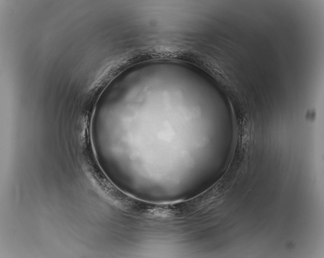 X0000114200742200910231343