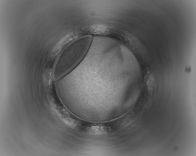 X0000114200744200910231343