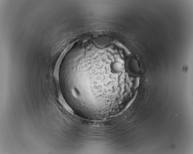 X0000114200746200910231343