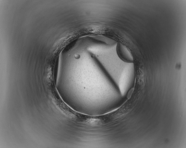 X0000114200748200910231343