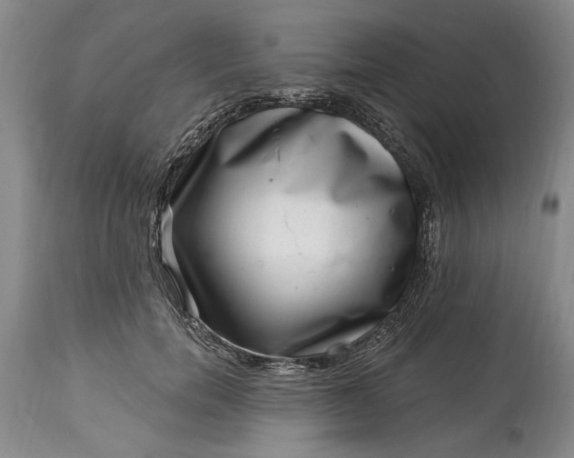 X0000114200750200910231343