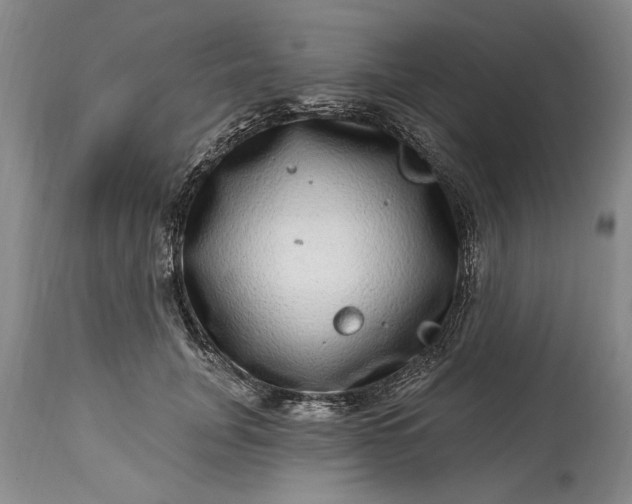 X0000114200751200910231343