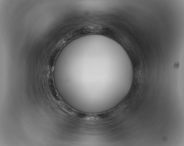 X0000114200752200910231343