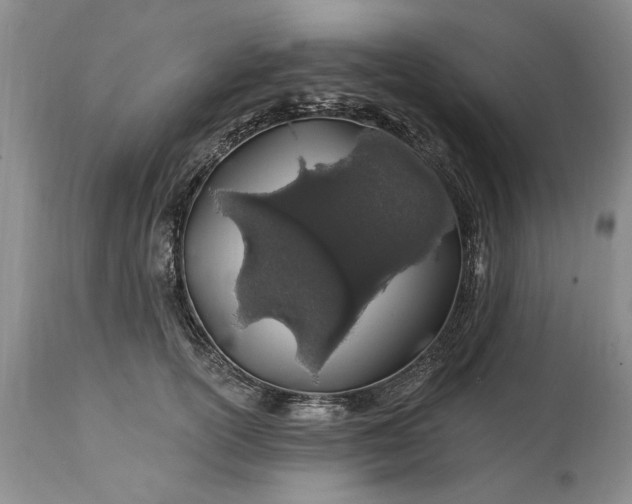 X0000114200754200910231343