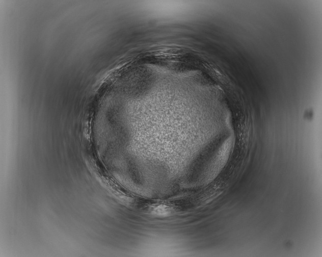 X0000114200755200910231343