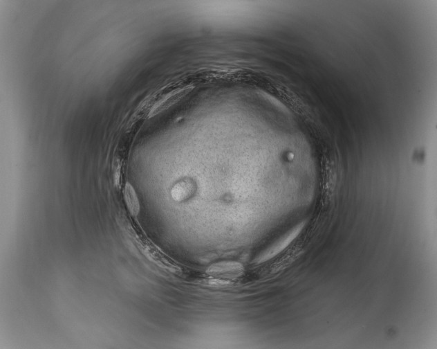 X0000114200758200910231343