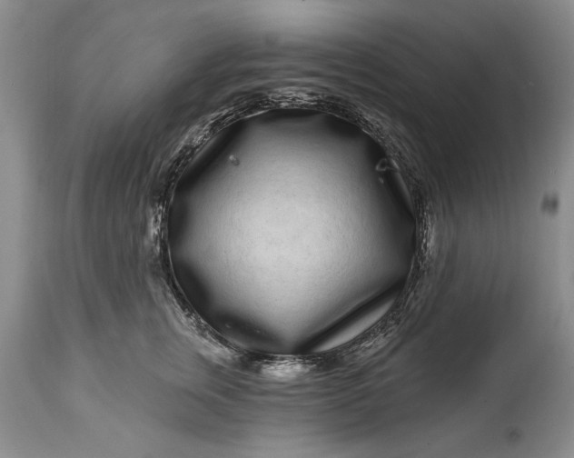 X0000114200759200910231343