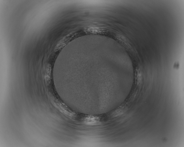 X0000114200760200910231343