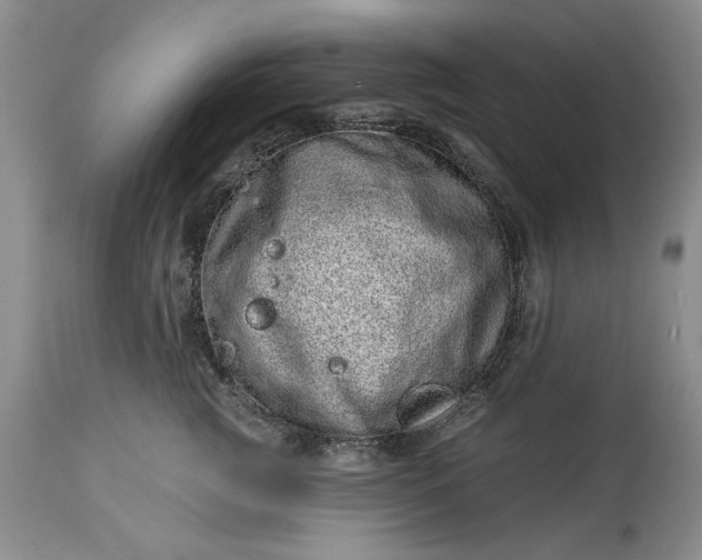 X0000114200761200910231343