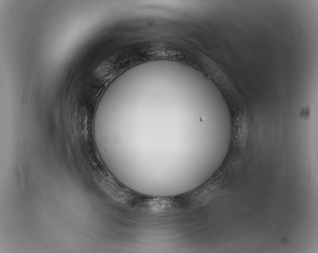 X0000114200762200910231343