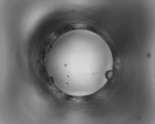 X0000114200763200910231343