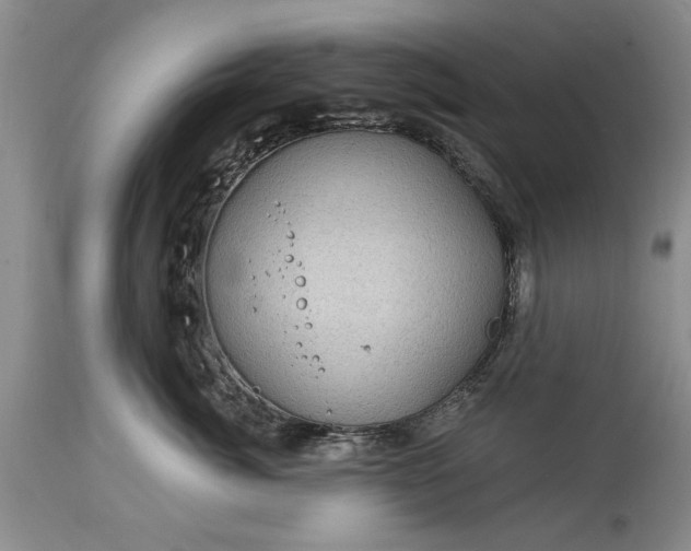 X0000114200764200910231343