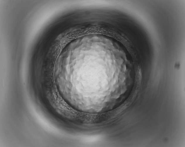 X0000114200765200910231343