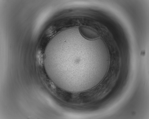 X0000114200766200910231343