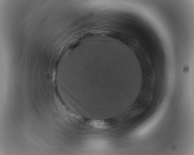 X0000114200767200910231343