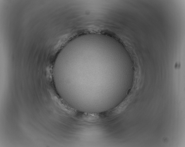 X0000114200768200910231343