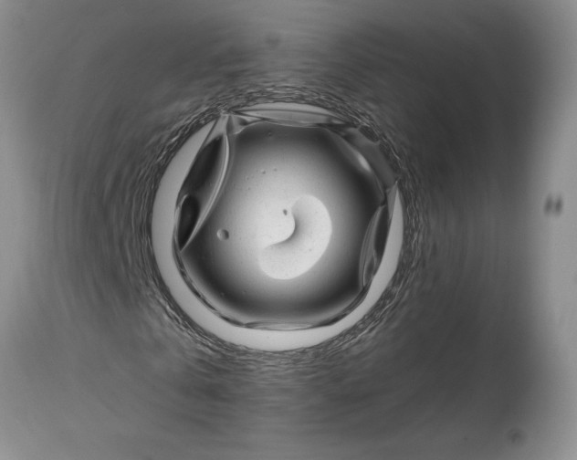 X0000114200769200910231342