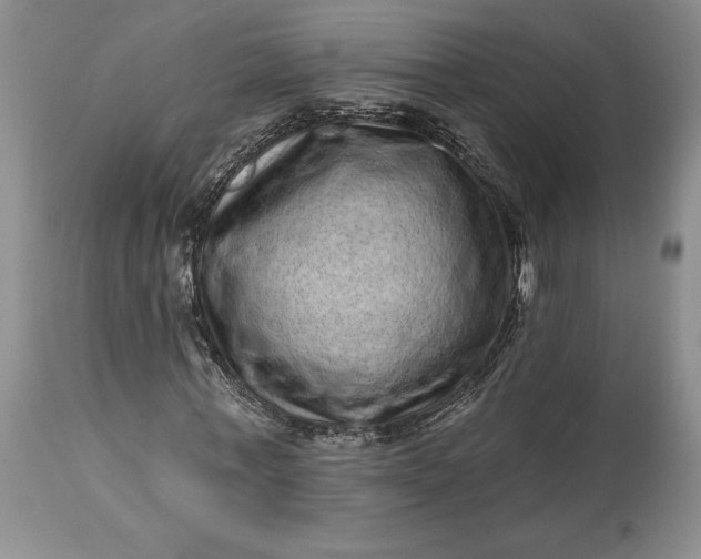 X0000114200771200910231342