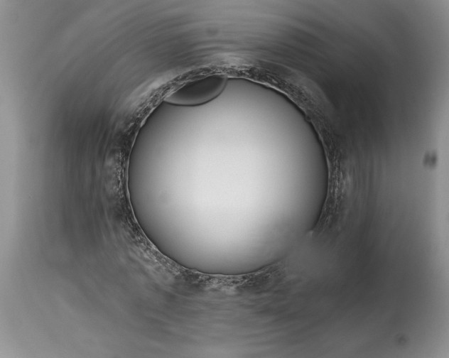 X0000114200773200910231342