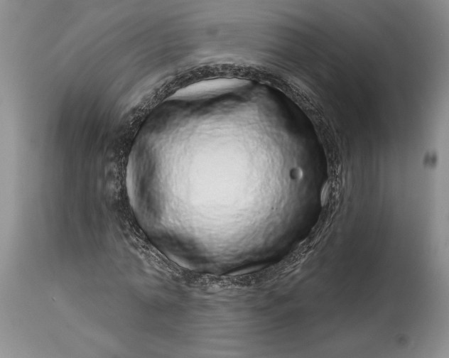 X0000114200774200910231342