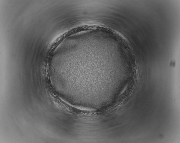 X0000114200775200910231342