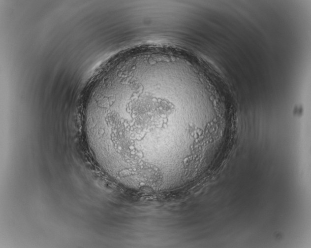 X0000114200776200910231342