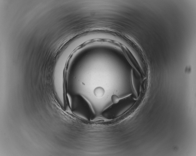 X0000114200777200910231342