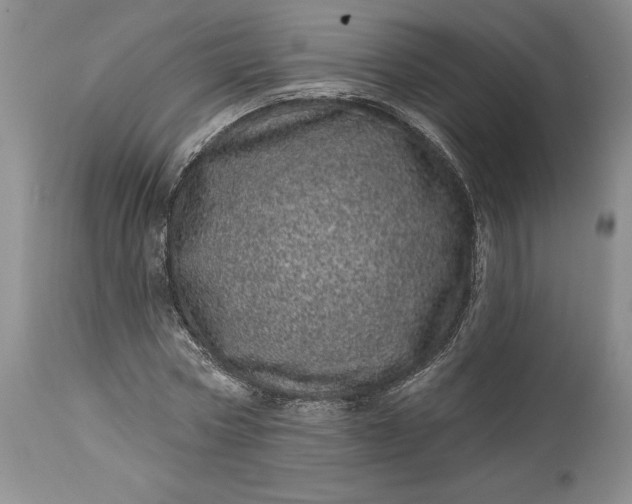 X0000114200778200910231342