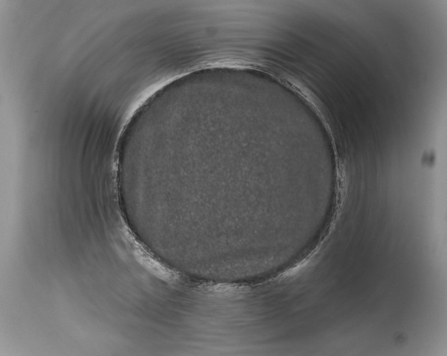 X0000114200779200910231342