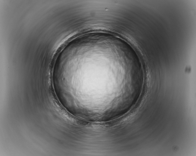 X0000114200782200910231342