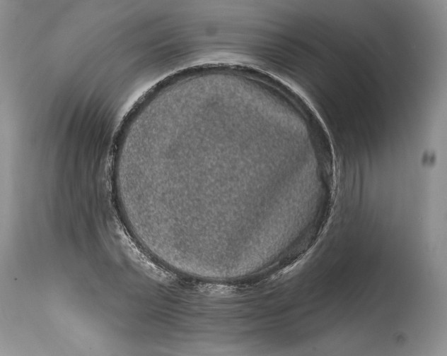 X0000114200783200910231342